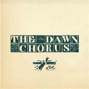 The Dawn Chorus – The Mag Awards Show Preview
