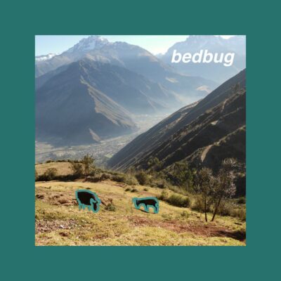 Bedbug - Songs About Ghosts