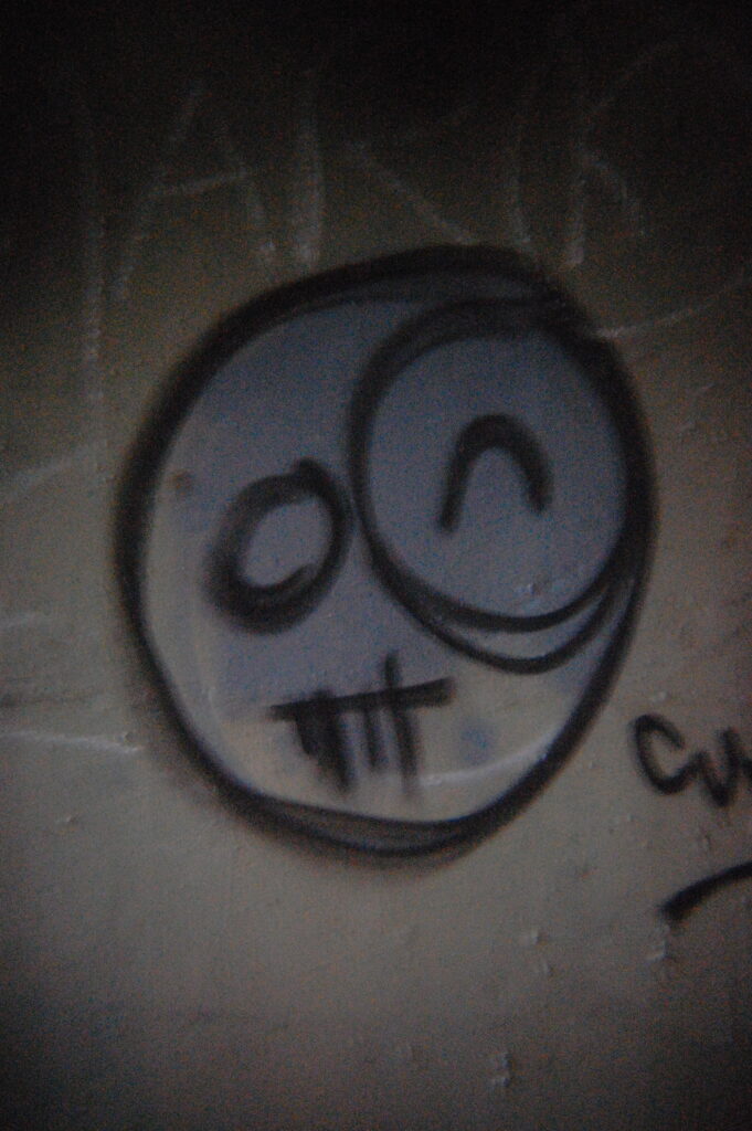 Graffiti taken with a Holga plastic lens
