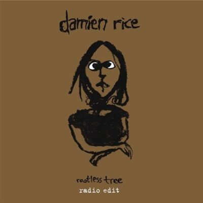Damien Rice - Rootless Tree