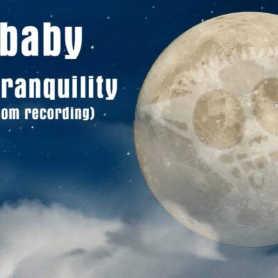 Bushbaby - Sea of Tranquility. The face of the surface of the moon looks like a bushbaby.