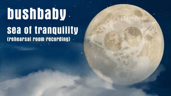 Bushbaby - Sea of Tranquility. The face of the surface of the moon looks like a bushbaby.