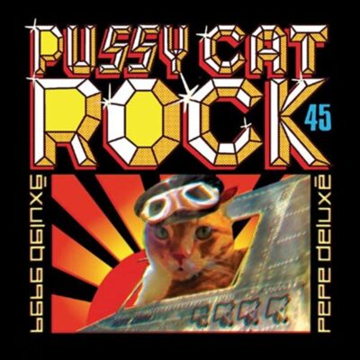 Pepe Deluxe - Pussy Cat Rock. A cat flying an old airplane into the sun.