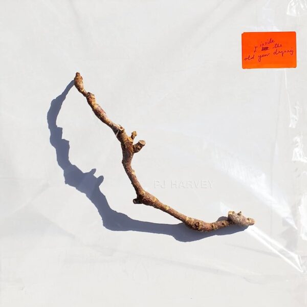 PJ Harvey - I Inside The Old Year Dying. A driftwood branch or possibly a root with a stark shadow on a white background.
