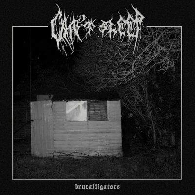 Brutalligators – Can’t Sleep