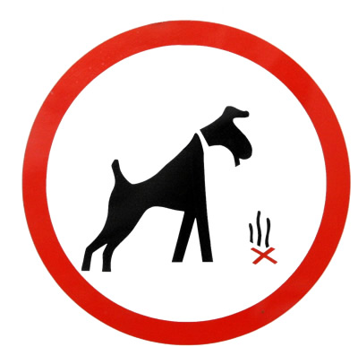 Dog! – Just Like You